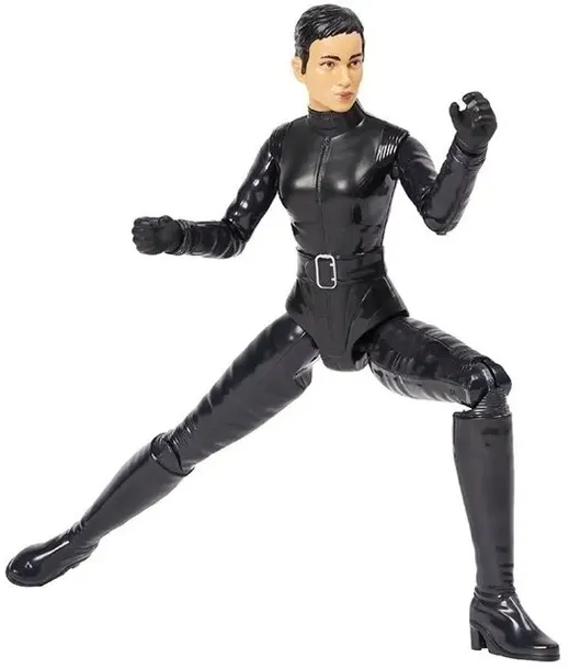 spin-master-batman-selina-kyle-dc-comics-30cm-plec-dziewczynki-chlopcy