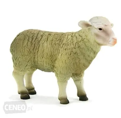 animal-planet-owca-387096-6cm