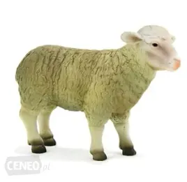 animal-planet-owca-387096-6cm