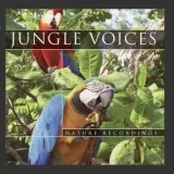 jungle-voices-cd
