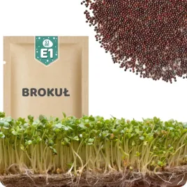 51seed-e1-nasiona-na-kielki-brokul-raab-zrodlo-witamin-pikantny-smak-10g
