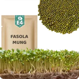 51seed-e4-nasiona-na-kielki-fasola-mung-idealne-do-kuchni-azjatyckiej-50g
