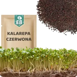 51seed-e8-nasiona-na-kielki-kalarepa-czerwona-idealne-do-salatek-zup-10g