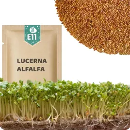 51seed-e11-nasiona-na-kielki-lucerna-alfalfa-wzmacniaja-miesnie-i-kosci-20g
