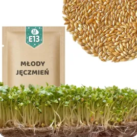 51seed-e13-nasiona-na-kielki-mlody-jeczmien-zawieraja-duzo-blonnika-30g