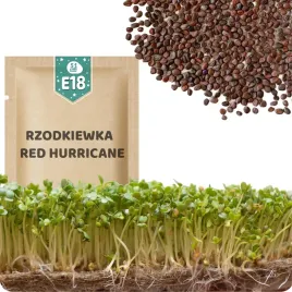 51seed-e18-nasiona-na-kielki-rzodkiewka-red-hurricane-korzenny-smak-10g