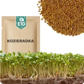 51seed-e10-nasiona-na-kielki-kozieradka-wplywa-na-poziom-cholesterolu-20g