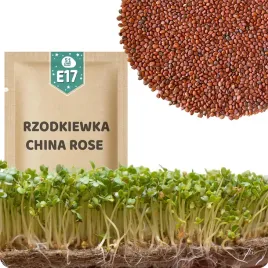 51seed-e18-nasiona-na-kielki-rzodkiewka-red-hurricane-korzenny-smak-10g