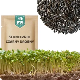 51seed-e19-nasiona-na-kielki-slonecznik-czarny-drobny-orzchowy-smak-20g