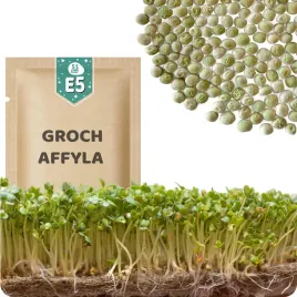 51seed-e5-nasiona-na-kielki-groch-cukrowy-affyla-zrodlo-wielu-witamin-50g