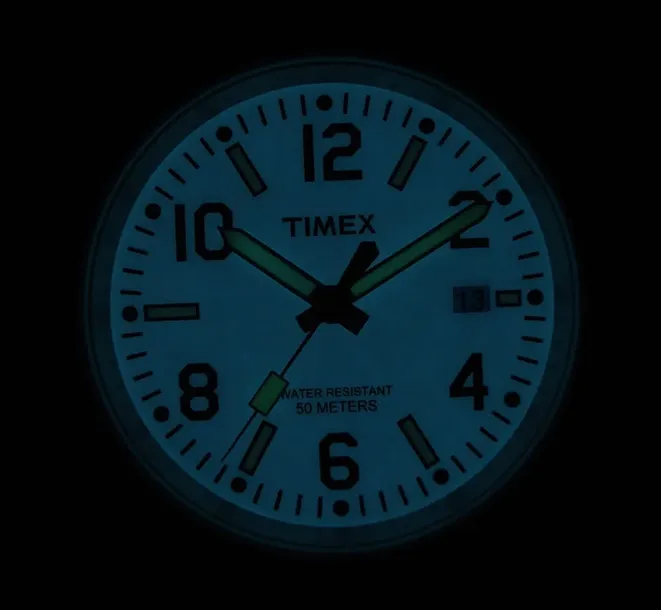 zegarek-timex-t2p007-mechanizm-kwarcowy