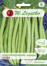 nasiona-fasola-szparagowa-karlowa-scuba-zielona