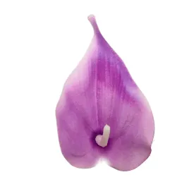 calla-wyr-mala-fioletowa-24-szt