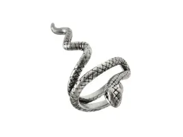 nausznica-waz-weze-zmija-zmijka-snake-gad-lewe-ucho-kn181