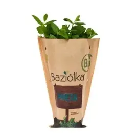bio-mieta-doniczka-polska-1szt-baziolka
