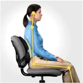 fellowes-ergonomia-podporka-poduszka-profesjonalna-pod-plecy