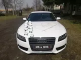dekoracja-na-auto-slubne-ozdoby-na-samochod-stan-nowy