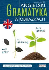 angielski-gramatyka-w-obrazkach