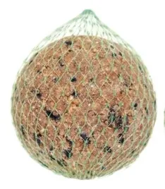 kula-pyza-bila-tluszczowa-karma-dla-ptakow-500g