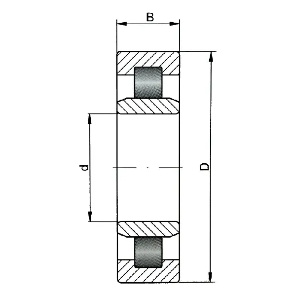lozysko-walcowe-nu207-ecp-skf
