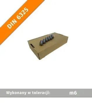 Kołek walcowy DIN 6325 14x30 - 25szt.