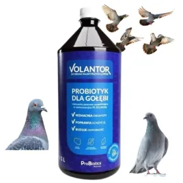 volantor-probiotyk-dla-golebi-1-l-probiotics