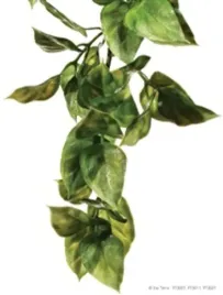 exo-terra-plastic-plant-medium-amapallo-do-terrarium