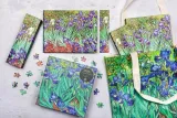 notes-paperblanks-irises-slim-w-linie-stan-nowy