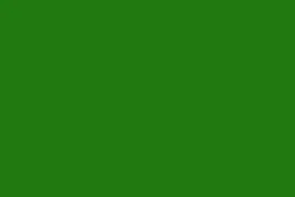 lakier-holaras-zielony-1-l