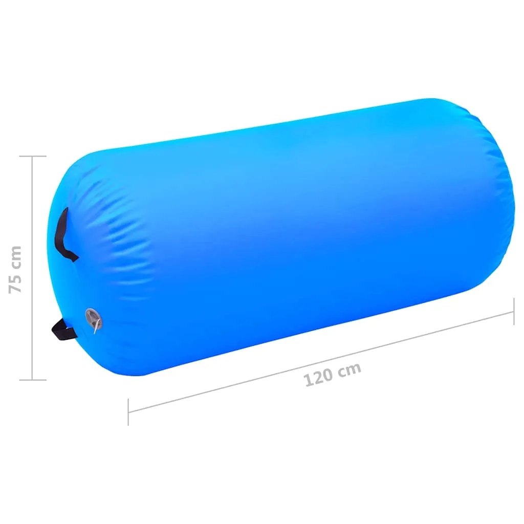 profesjonalny-roller-120x75-cm-niebieski-stan-nowy