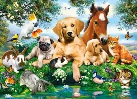 puzzle-200-ukladanka-dla-dzieci-zwierzeta-koty-psy-konie-ptaki-7-castor