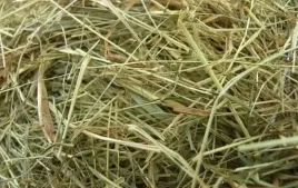 naturalne-siano-dla-gryzoni-i-krolikow-5kg