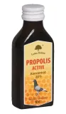 lesna-dolina-propolis-active-100-ml-dla-golebi