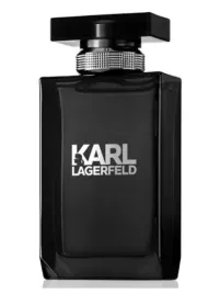 karl-lagerfeld-pour-homme-100-ml-flakon