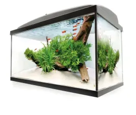 akwarium-zestaw-35l-prosty-40x25x35-filrt-grzalka-automatyczna-gratisy
