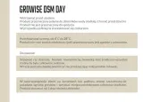 dsm-day-ukorzeniacz-marka-inna