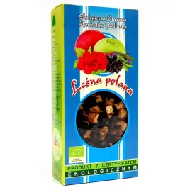 herbatka-lesna-polana-bio-100-g-dary-natury