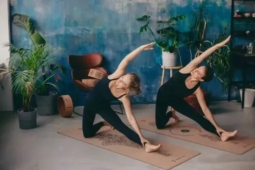 mata-do-jogi-sayoga-cork-elephant-kolor-inny-kolor