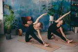 mata-do-jogi-sayoga-cork-elephant-kolor-inny-kolor