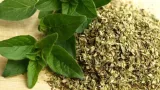oregano-20-g-dary-natury-waga-20-g