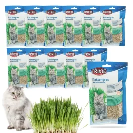 trawa-trawka-dla-kota-nasiona-do-uprawy-na-odklaczenie-trixie-12x-100g