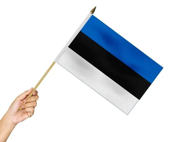 Flaga na patyku Estonia 45x30 cm Flagi Estonii Estońska