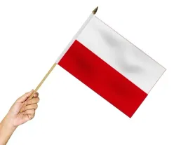 flaga-na-patyku-polska-45x30-cm-flagi-polski-poland-polen-polonia