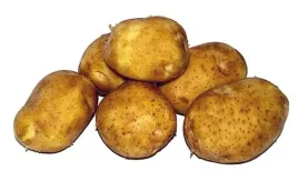 ziemniak-jadalny-bio-1-kg-