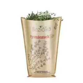 tymianek-doniczka-baziolka-1-szt