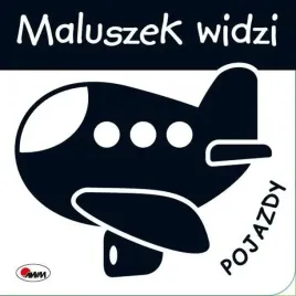 maluszek-widzi-pojazdy