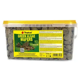 green-algae-wafers-pokarm-z-glonami-i-ketapangiem-dla-glonojadow-5l
