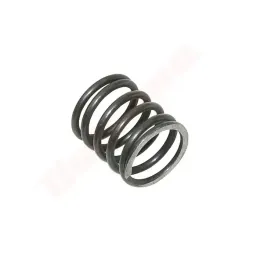 sprezyna-zaworow-loncin-154f-140340027-t020