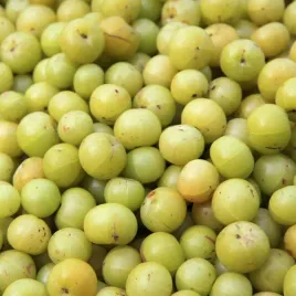 agrest-indyjski-amla-swieze