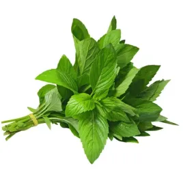 mieta-peczek-mint-bunch-swieze